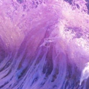 Meet your Posher, Dylan